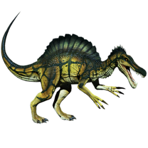 Rare River Spino