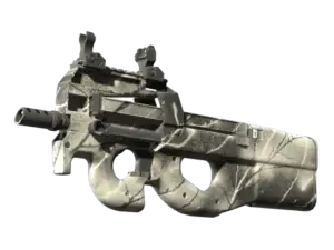 P90 | Ash Wood ( Factory New)