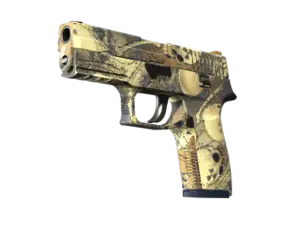 P250 | Contamination ( Factory New)